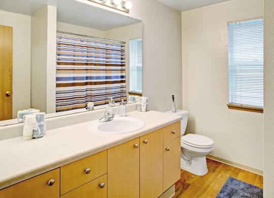 A bathroom with a toilet, sink, and mirror.