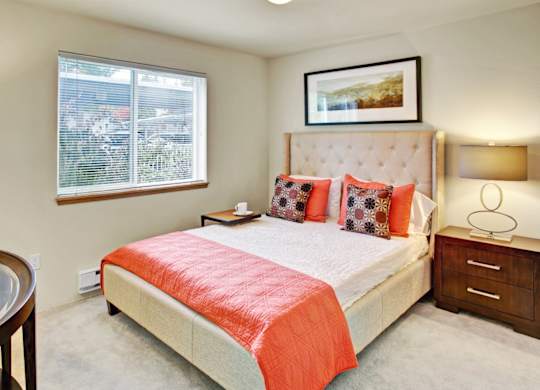 A bedroom with a large bed, a nightstand, and a window with a view of a parking lot.