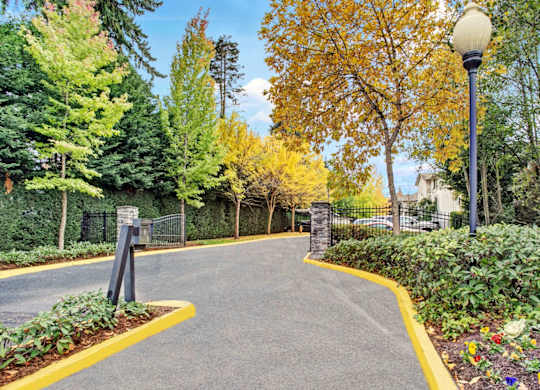 A street with a yellow line and a lamp post.
