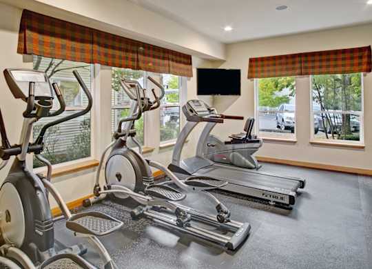 A gym with a row of treadmills and elliptical machines.