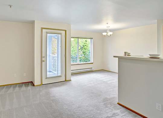 A room with a carpeted floor and a window with a view of a fence and trees.