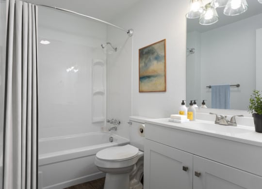 a white bathroom with a shower toilet and sink