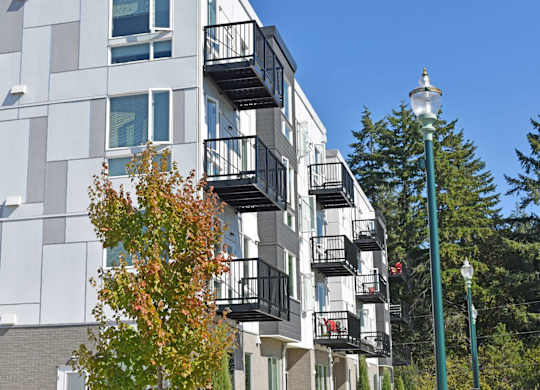 A tree with orange leaves is in front of a white building with black railings at The Duo Apartments in University Place, WA.