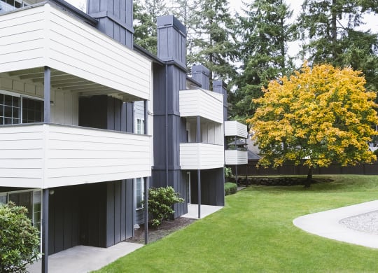 Apartments with patios and balconies lined by manicured lawn, landscaping, a large tree, and a curved paved pathway at University Glen, University Place, 98466