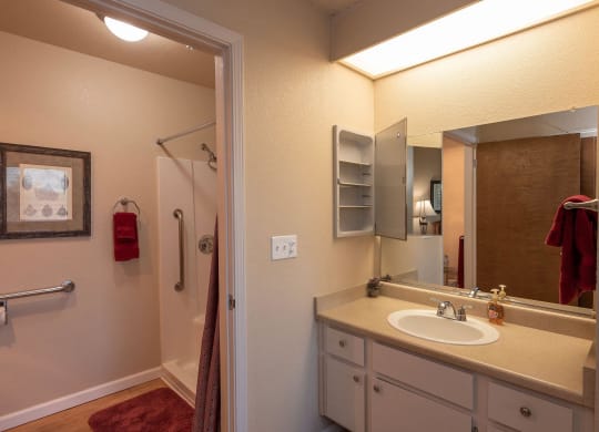 a bathroom with a sink and a shower and a mirror at Roseville Commons Senior Living, California, 95678