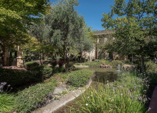 a garden with a pond and trees at Winding Commons Senior Living, Carmichael