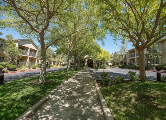 a tree lined street with apartment buildings and trees  at Winding Commons Senior Living, Carmichael, California