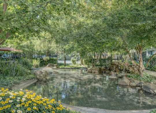 Beautiful Pond at Campus Commons Senior Living, Sacramento, CA, 95825