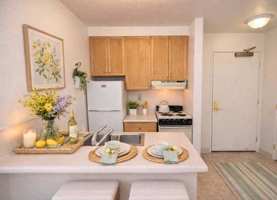 Open Kitchen at Campus Commons Senior Living, California