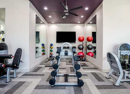 a gym with weights and a tv in the corner at Discovery at Craig Ranch, McKinney, TX, 75070