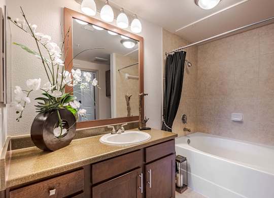 a bathroom with a sink and a tub and a mirror at Discovery at Craig Ranch, Texas, 75070