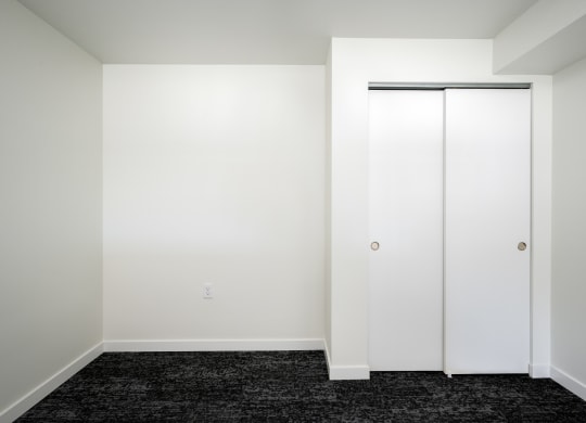 a room with black carpet and white walls and a closet