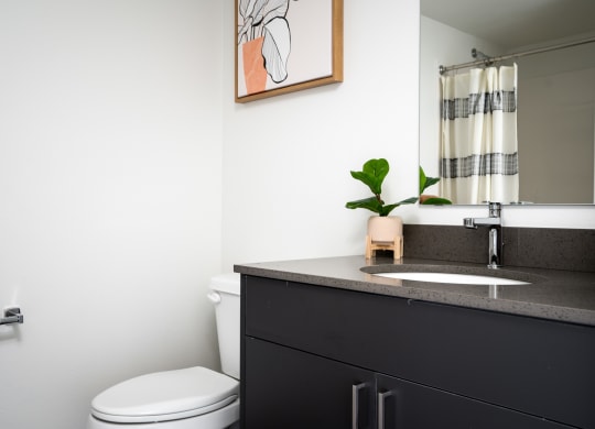 a bathroom with a sink and a toilet and a mirror