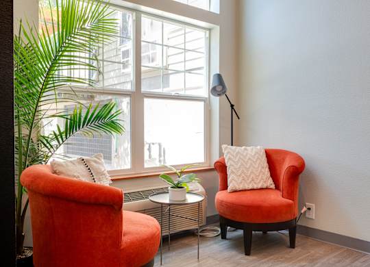 Two red chairs with pillows in front of a window with a plant.