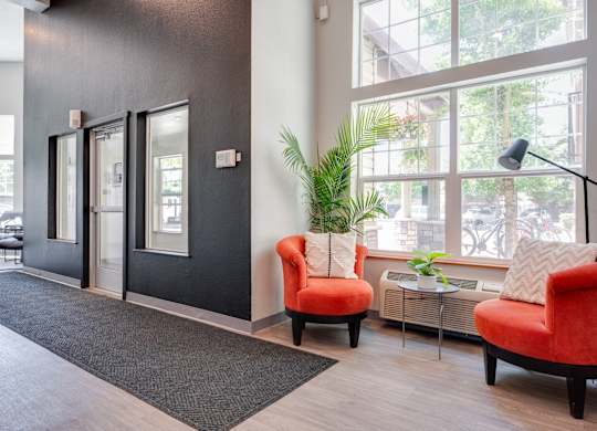 A room with a black wall and a red chair.
