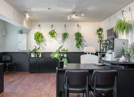 A room with a desk and chairs with plants hanging from the ceiling.