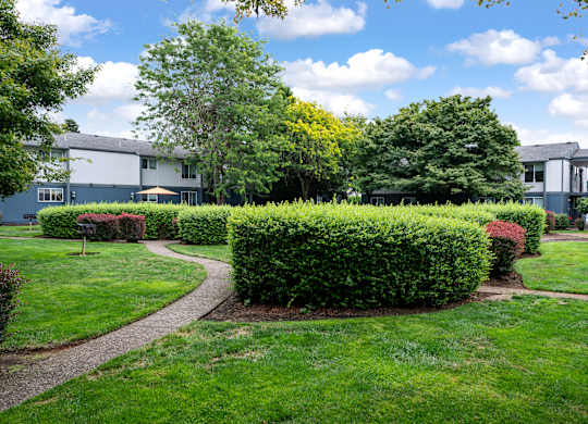 A well-maintained lawn with a curved pathway and a hedge in the foreground.