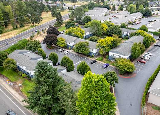 A parking lot is surrounded by trees and buildings.