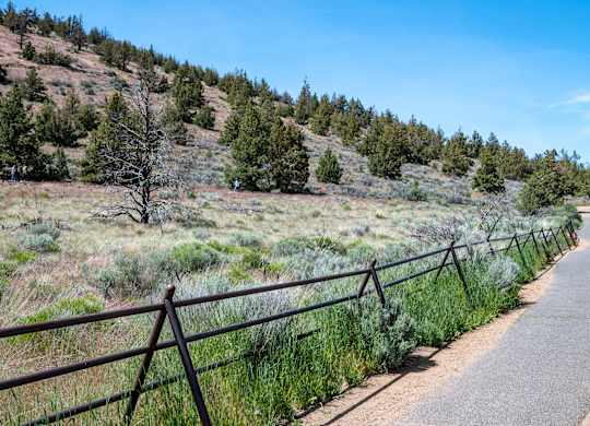 A pathway with a fence on the side and trees on the hill.