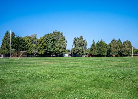 A grassy field with trees in the background and goalposts on the left.