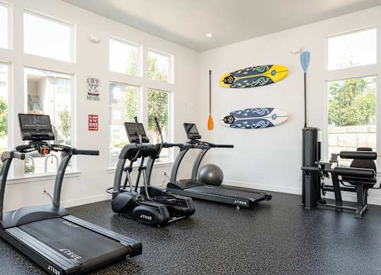 A gym with treadmills, exercise bikes, and surfboards on the wall.