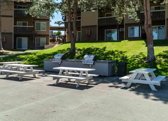 BBQ area and picnic tables