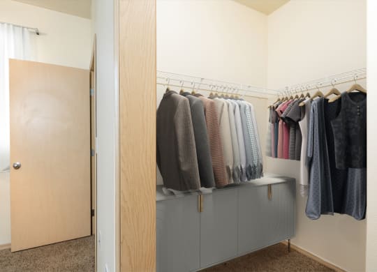 a walk in closet with a door and clothes hanging on a rack