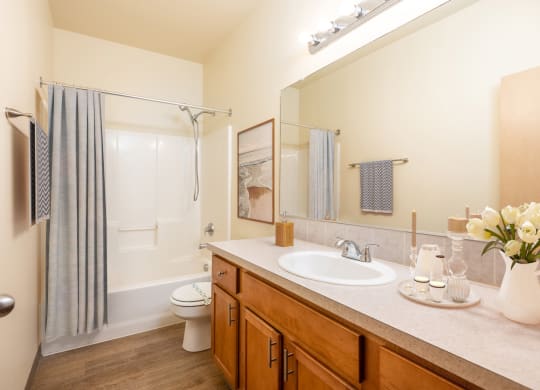 a bathroom with a sink and a shower and a toilet