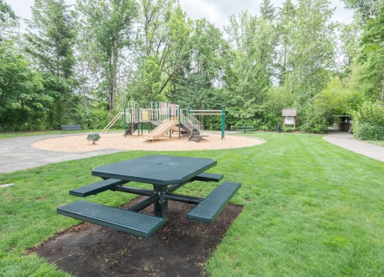 a picnic table and a playground in a park