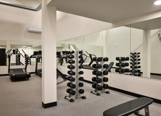 a gym with weights and mirrors on the wall