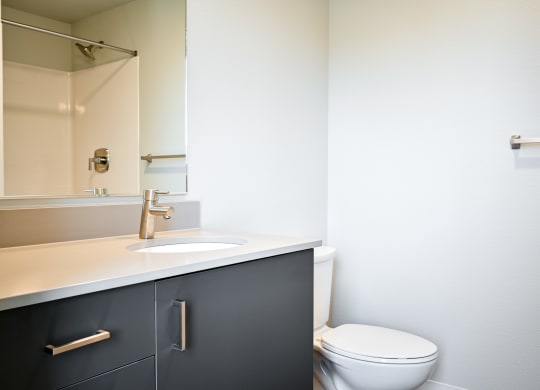 a bathroom with a toilet and a sink and a mirror