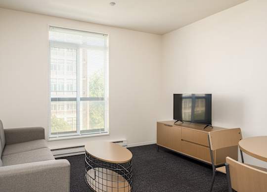 A living room with a grey sofa, a wooden coffee table, a television and a window.