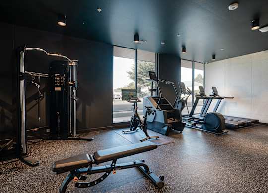 A gym with a variety of equipment including a treadmill, a bench press, and a squat rack.