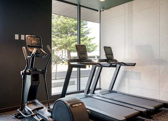 A treadmill and a stationary bike are in a room with a window.