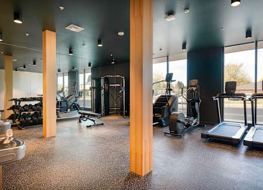 A gym with treadmills, weights, and exercise equipment.