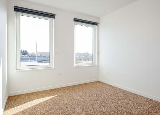 A room with two windows and carpeted floor.