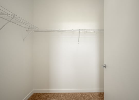 A white closet with a brown carpet.