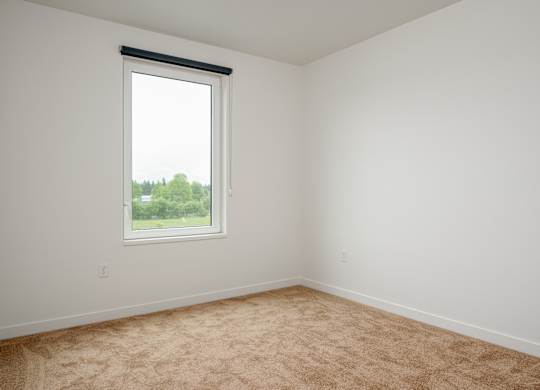 A room with a carpeted floor and a window showing trees and a building outside.