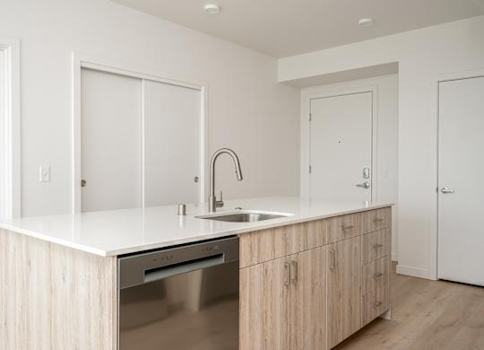 A modern kitchen with a stainless steel dishwasher and wooden cabinets.