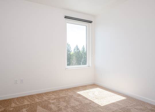 A room with a carpet and a window.
