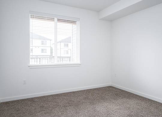 A room with a carpeted floor and a window with blinds.