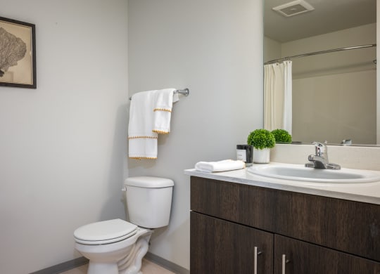 One Bedroom Apartments in Everett WA - The Waterline - Bathroom