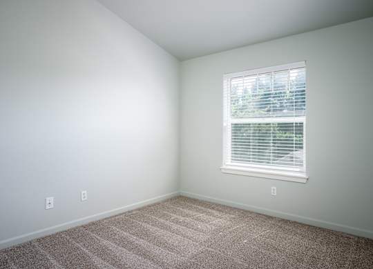 A room with a window and carpeted floor.