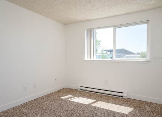 A room with a window and a carpet on the floor.