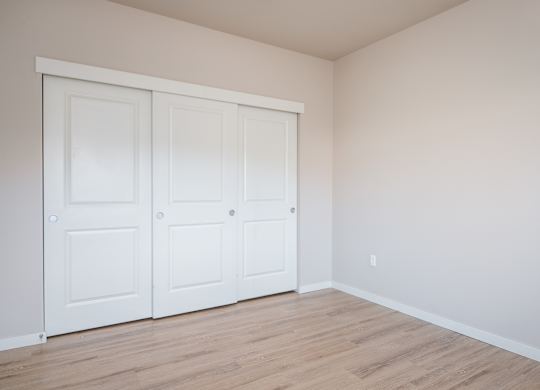 a bedroom with two closets and a wood floor