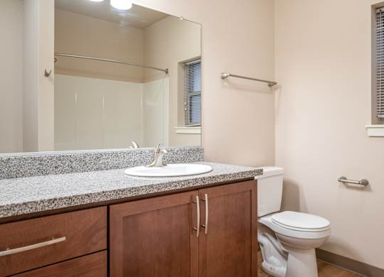 the preserve at ballantyne commons apartment bathroom with sink toilet and mirror