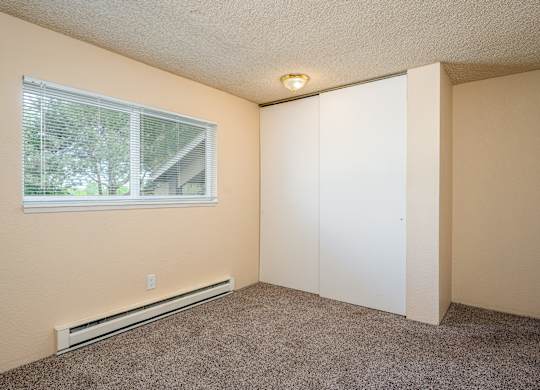 A room with a window and a carpeted floor.