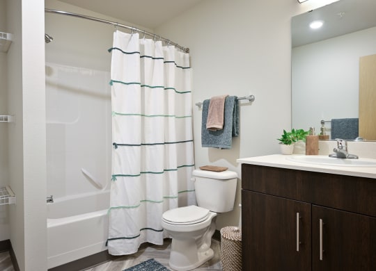 bathroom with a shower, sink and a toilet