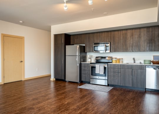 open galley kitchen with dark cabinets and stainless steel appliances