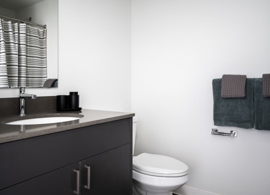 a bathroom with a sink and a toilet and a mirror